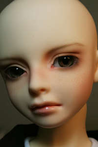 Volks School Head A