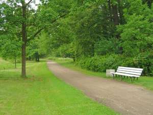 Spend a day in the park, reading a book