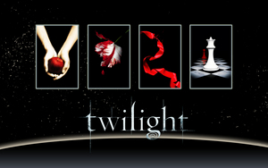 Книги на английском Twilight Saga