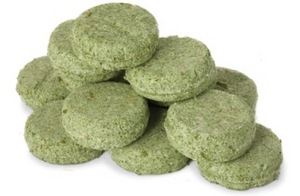 Squeaky Green solid shampoo by LUSH