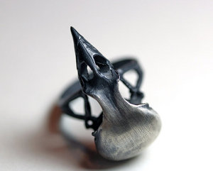 homeward bound. sparrow skull ring.