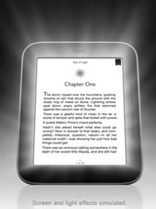 Barnes & Noble Nook Simple Touch with Glowlight