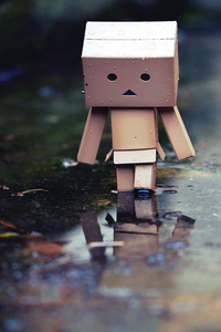 Danbo