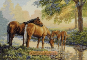 Horses by a Stream