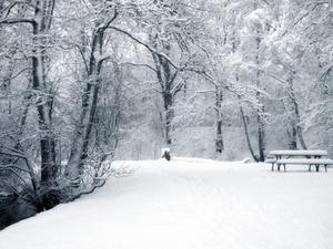 Кататься на лыжах и сноуборде и на горке