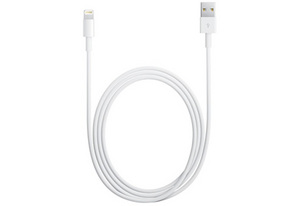 Apple Lightning to USB Cable