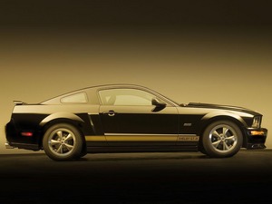 Mustang Shelby