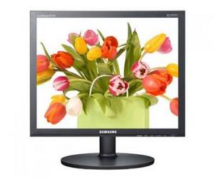 Samsung SyncMaster E1720NR (черный)