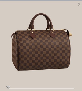 HandBag Louis Vuitton