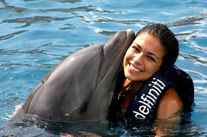 swim with a dolphin