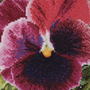 http://www.casacenina.com/thea-gouverneur/flowers-and-fruits/pansy-crimson.html