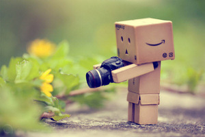 Danbo