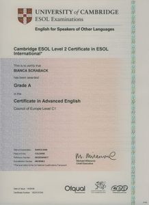 Cambridge Certificate in Advanced English