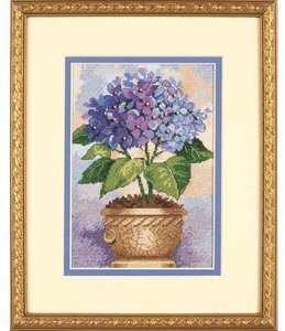 Dimensions Hydrangea in Bloom