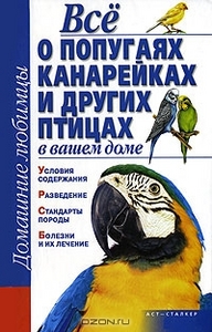 Все о попугаях, канарейках и других птицах в вашем доме