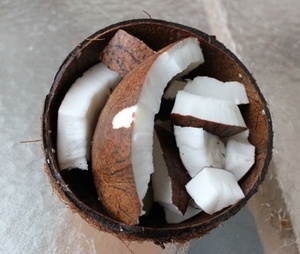 Coconut