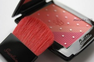 Guerlain 4-Colours Blush Madame Rougit