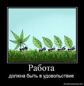 Найти работу, на которую хотелось бы бежать