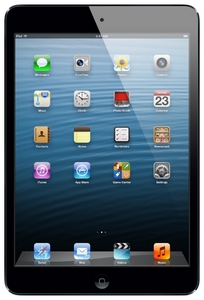 iPad mini 64 GB 4G