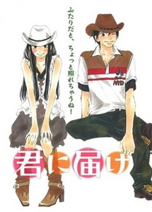 Kimi ni Todoke