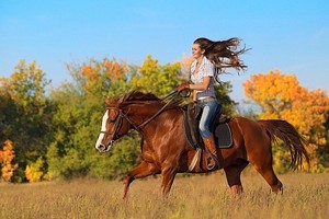 прогулка на лошадях