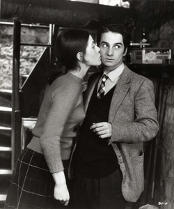 François Truffaut «Baisers vol&#233;s»