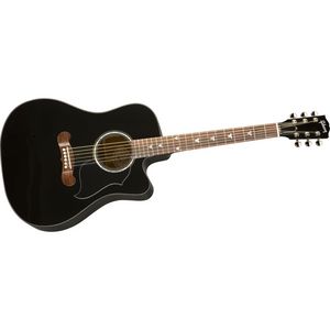 Acoustic Electric Guitar