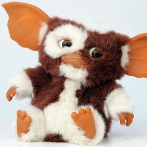 Gizmo toy