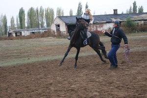 прикормить/подружить Грома.