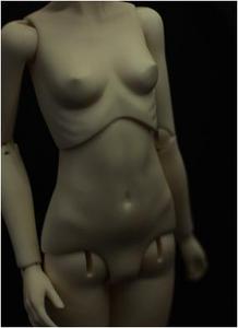 Spiritdoll Elegance Girl Joint Torso Body