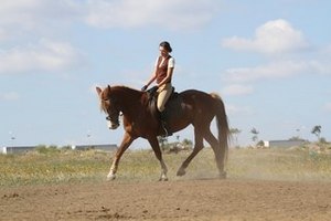 Уроки верховой езды и верховые прогулки