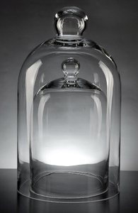 Glass Bell Jar Domes (Set of 2)