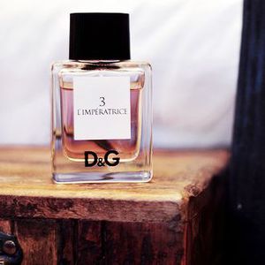 d&g l'imperatrice