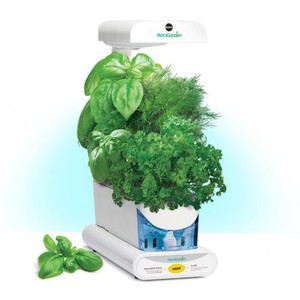 aerogarden + italian herbs for it