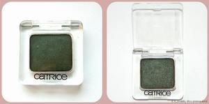 Тени для век Catrice Absolute Eye Colour Mono