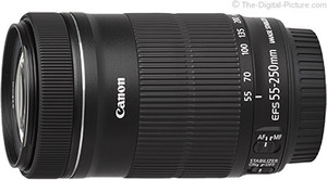 Canon EF-S 55-250mm f/4-5.6 IS STM