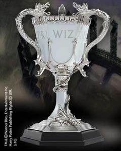 The TRIWIZARD Cup