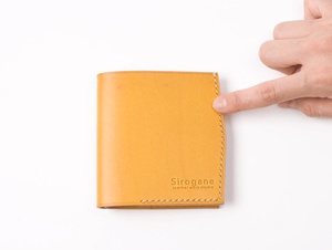 Credit card holder