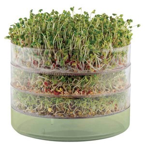 Biosnacky - Large Germinator/ Mini Greenhouse (sprouter)