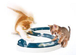 Игрушка для кошек Hagen Catit Design Senses Play Circuit, Original: Pet Supplies