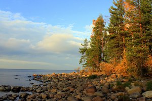 Отдых за городом