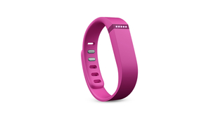 FitBit Flex