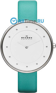 часы Skagen SKW2134