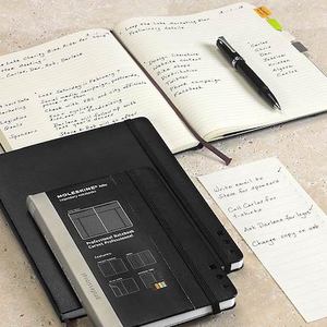 moleskine professional notebook