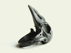 Black Raven Skull