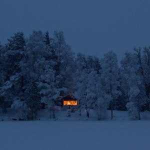 домик в лесу