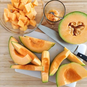 cantaloupe