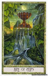 Druidcraft Tarot