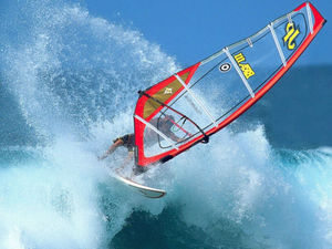 windsurf