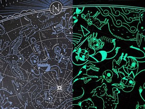 Glow in the Dark Star Map